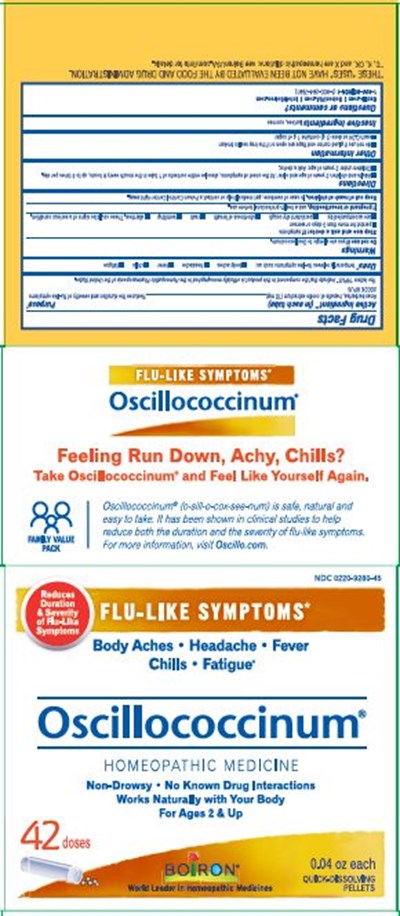 Oscillo 42 Dose 6921898 04.2022